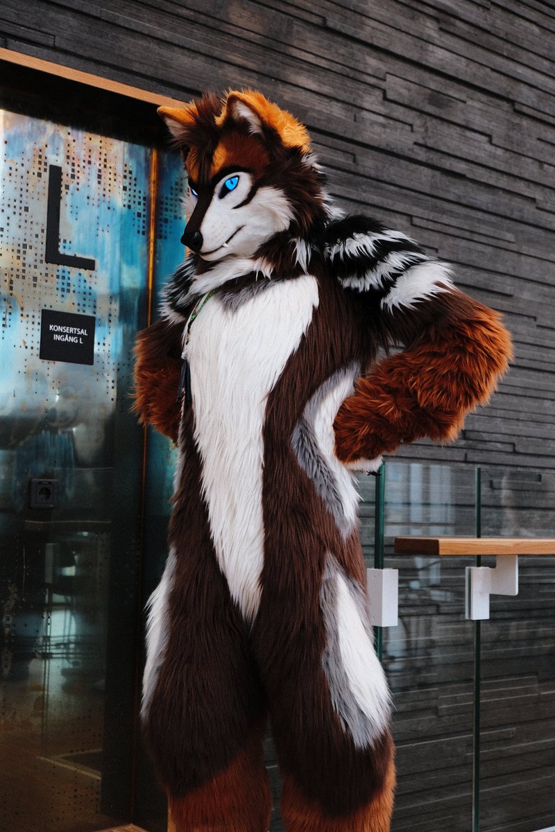 Mix :raccoon: (@007mix) on Twitter photo NFC was such a blast!! Got to meet a lot of really cool people and hang with friends! Didn't take that many pictures but here are my best ones!
<a href="/FangSladeDrum/">Fang</a>, <a href="/Kvaddd/">Kvad 🇪🇪🇱🇻</a> and <a href="/Nao_the_wolf/">Nao</a>, <a href="/martinisnowfox/">🍸雪狐 martinisnowfox.bsky.social</a> and <a href="/Amber_ovopack/">アンバー / Amber</a>, <a href="/CarbineCoyote/">Carbine</a> NFC was such a blast!! Got to meet a lot of really cool people and hang with friends! Didn't take that many pictures but here are my best ones!
<a href="/FangSladeDrum/">Fang</a>, <a href="/Kvaddd/">Kvad 🇪🇪🇱🇻</a> and <a href="/Nao_the_wolf/">Nao</a>, <a href="/martinisnowfox/">🍸雪狐 martinisnowfox.bsky.social</a> and <a href="/Amber_ovopack/">アンバー / Amber</a>, <a href="/CarbineCoyote/">Carbine</a>