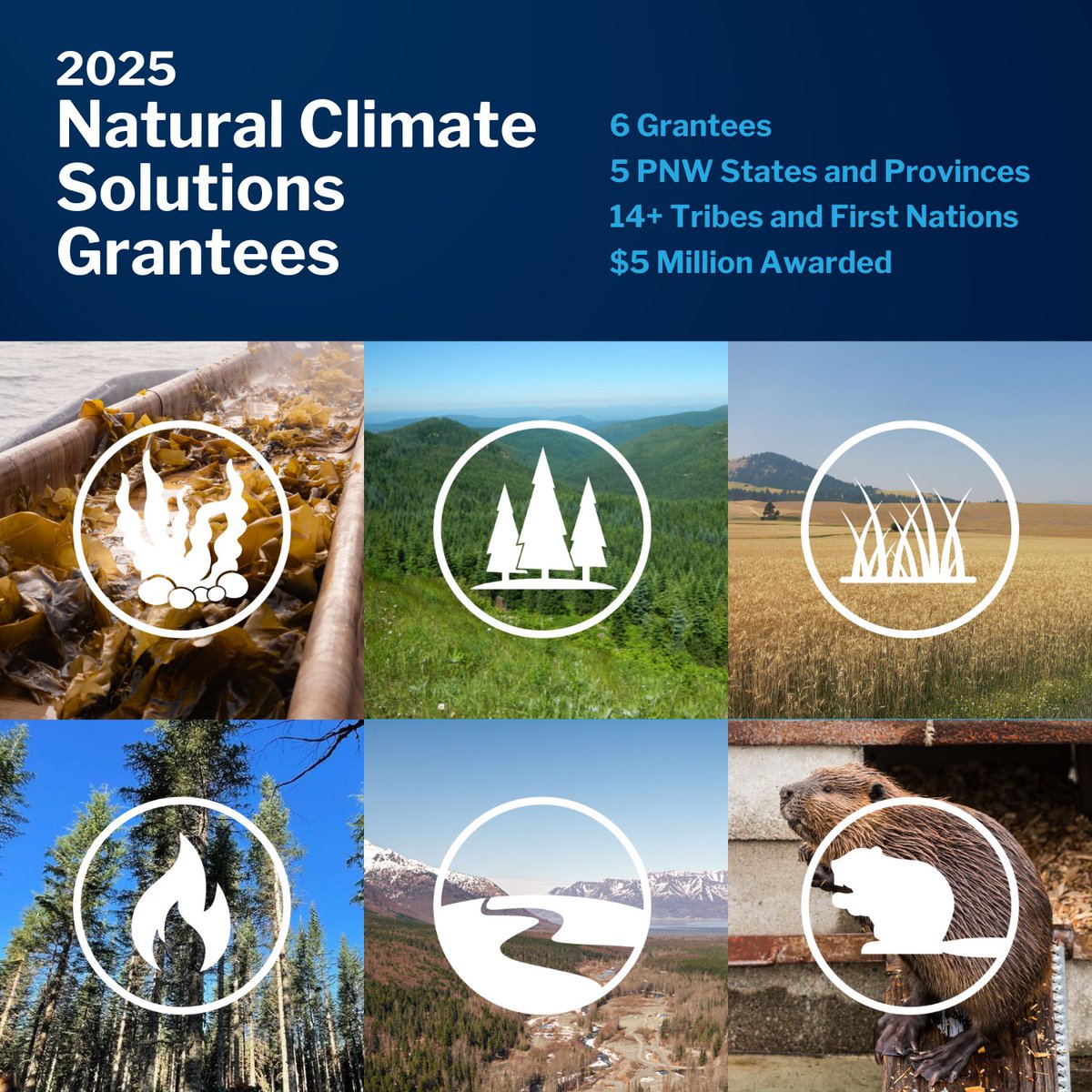 Allen Family Philanthropies tweet media