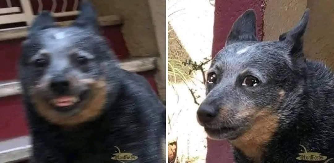 Yo haciendo las cosas por la anécdota /// yo teniendo flashbacks de esa anécdota