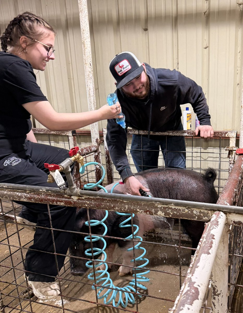 North Forney HS (@nfhs_truenorth) on Twitter photo Falcons are getting “show ready” at the Kaufman County Jr. Livestock Show. #trueNorth #excellence
<a href="/forneyisd/">ForneyISD</a> <a href="/justinwterry/">Justin Terry</a> <a href="/DrPattonNFHS/">Dr. Djara Patton</a> Falcons are getting “show ready” at the Kaufman County Jr. Livestock Show. #trueNorth #excellence
<a href="/forneyisd/">ForneyISD</a> <a href="/justinwterry/">Justin Terry</a> <a href="/DrPattonNFHS/">Dr. Djara Patton</a>