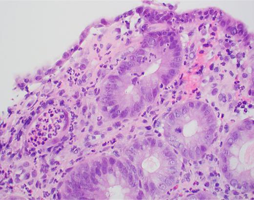 Clive Miranda, DO, MSc tweet media