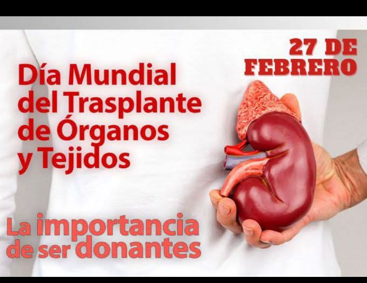 Hoy se celebra el día mundial del trasplante de órganos y tejidos