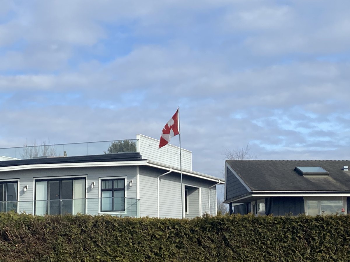 素心无尘🇨🇦 tweet media