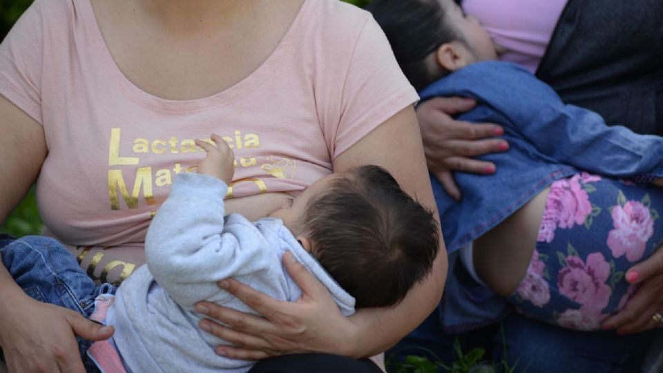 ¿Sabías que 3 de cada 10 bebés menores de 6 meses reciben leche materna como único alimento, tal como lo recomienda la Organización Mundial de la Salud?✍️ <a href="/FaviCapetillo/">Faviola Capetillo Hernández</a> <a href="/Pacto1aInfancia/">Pacto por la Primera Infancia</a> #OpiniónLSR lasillarota.com/opinion/column…
