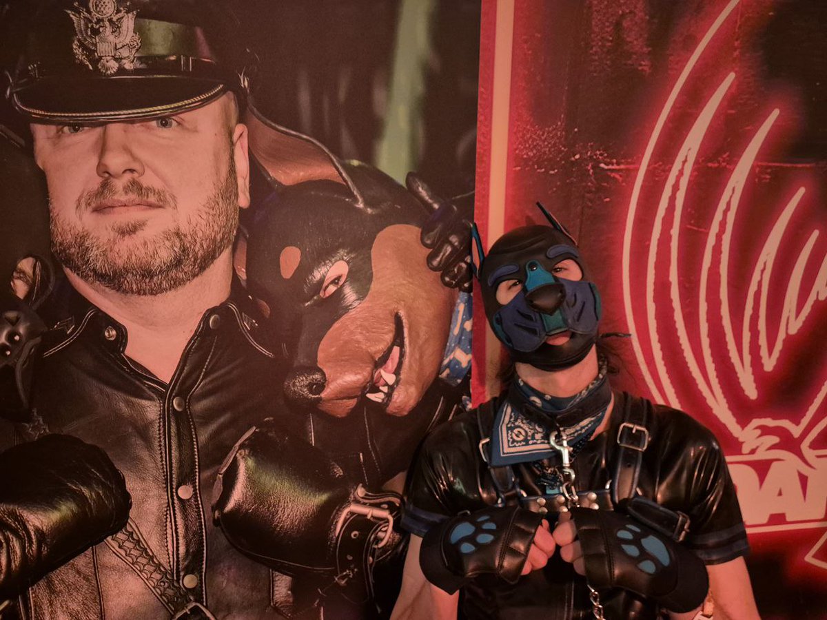 So at #darklands we found a wild pic of <a href="/RubberpupYuki/">Bouncy Yuki</a> with his old hood from 2015. So we decided he had to stand next to it. Double the yuki.  Double the cuteness