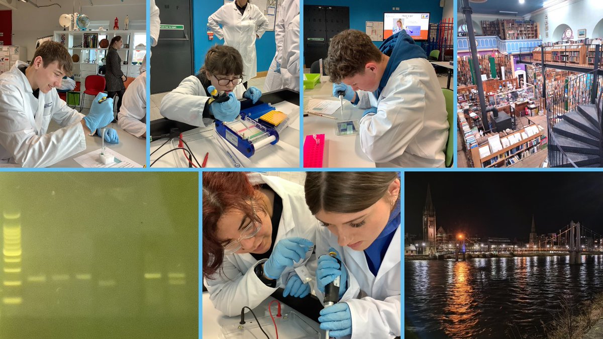 We have had a great week working with wonderful pupils from the Inverness area. 
Today's students from Nairn Academy used their new pipetting skills to produce a beautiful gel showing a full range of results

We also found time to see some of the sights in this picturesque city.