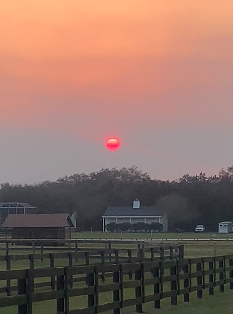 Quite a sunset over the farm in Ocala tonight #FarmLife #HorseRacing #Florida