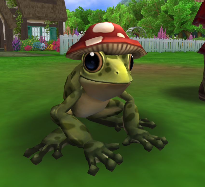theatmoplex's tweet photo. Pet - Friendly Frog: https://t.co/Nyvmvbj4zY
