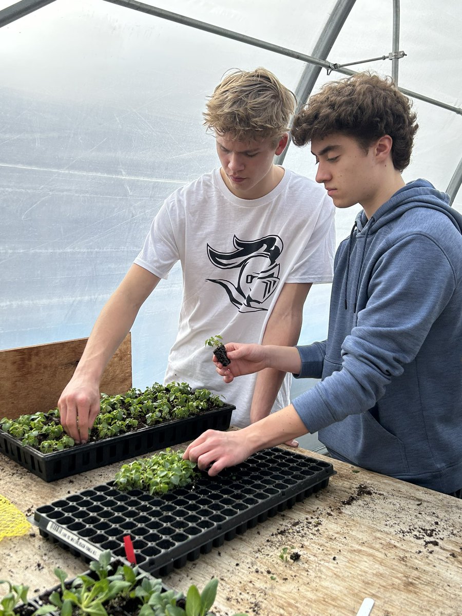 Penta-Otsego FFA Chapter (@otsegoffa) on Twitter photo The greenhouse has been busy as the ground is thawing! We are thinking spring. #OtseGrow <a href="/pentacareerctr/">Penta Career Center</a> #OtsegoKnights #handsonlearning The greenhouse has been busy as the ground is thawing! We are thinking spring. #OtseGrow <a href="/pentacareerctr/">Penta Career Center</a> #OtsegoKnights #handsonlearning