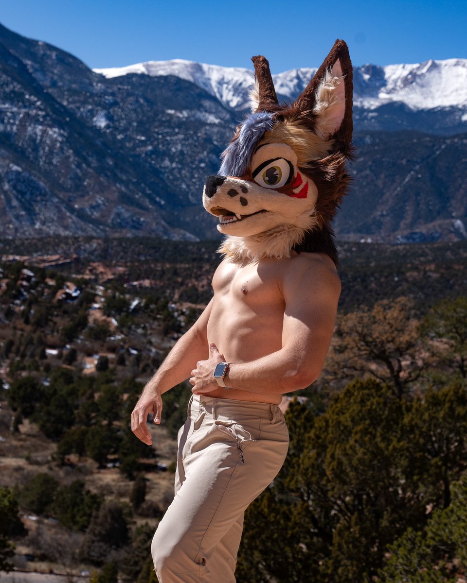 Dogged Dapper 🔜 LVFC tweet media