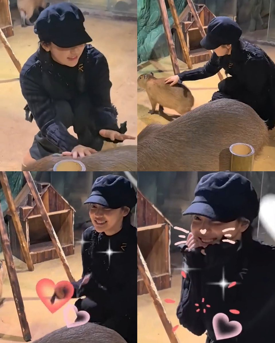 Evan, Cho. tweet media