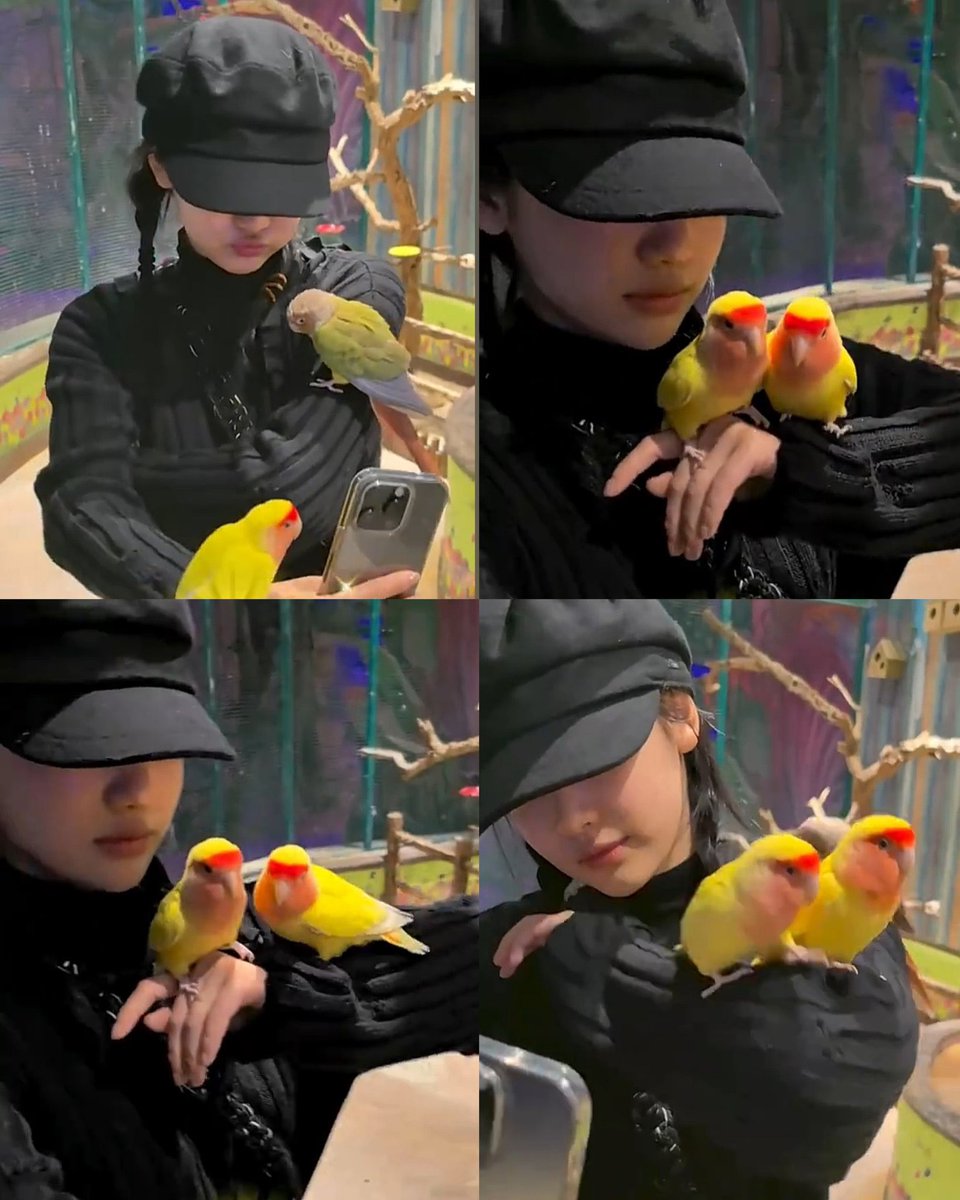 Evan, Cho. tweet media