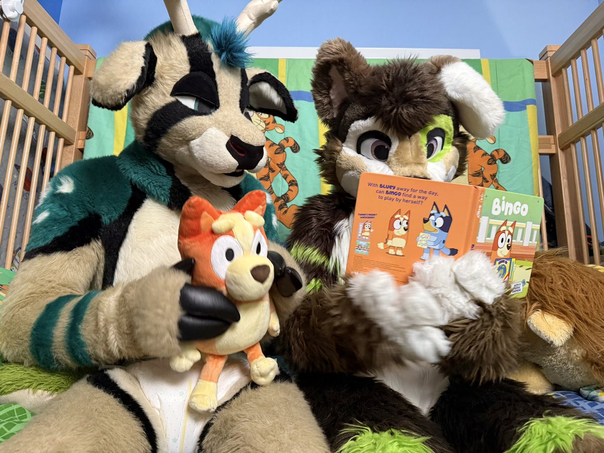 Reading my favorite bedtime story!