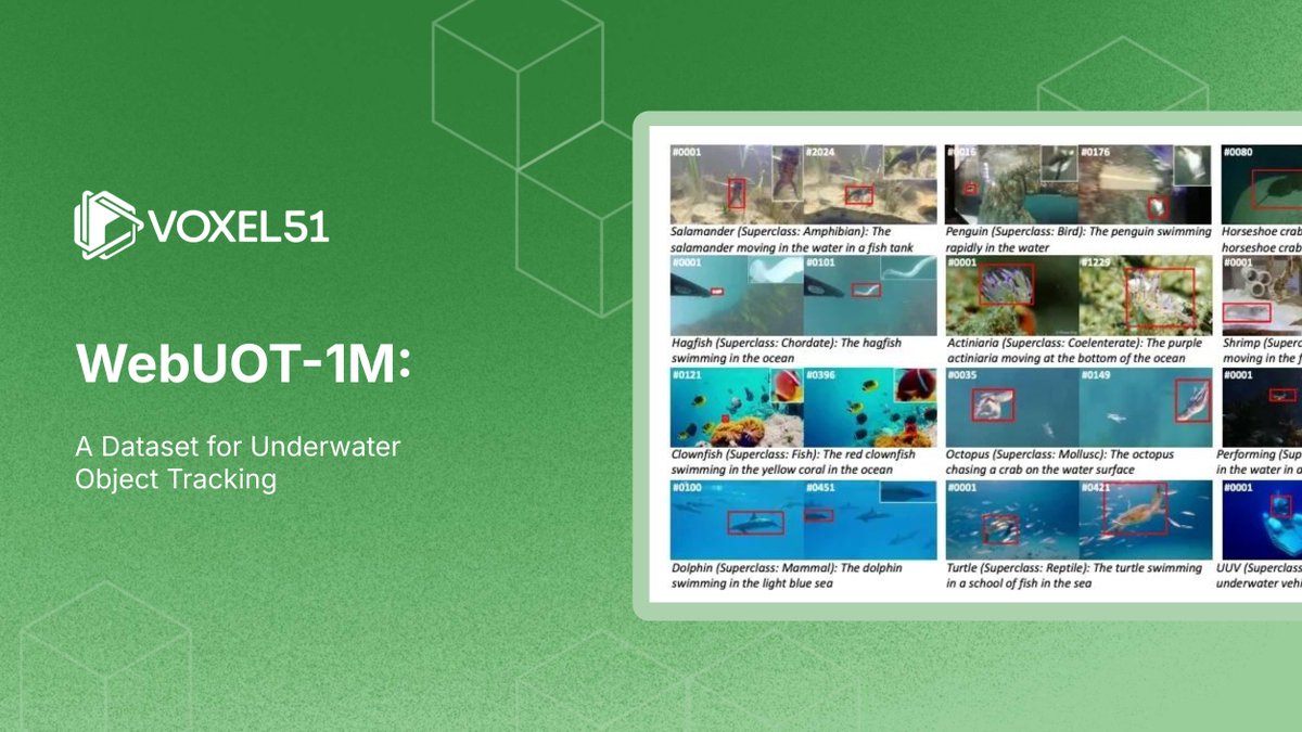 Voxel51's tweet image. 🤿 Dive into WebUOT-1M, a massive underwater object tracking dataset! 

Explore the dataset in #FiftyOne, compute &amp;amp; visualize embeddings, &amp;amp; apply SAM2:

🔗 voxel51.com/blog/webuot-1m…

#VisualAI #AI #ML #DataScience #MarineTech