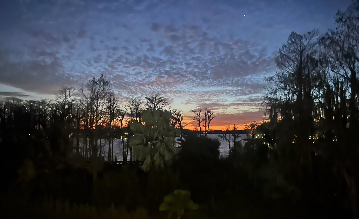 I had no idea I was such a great photographer….