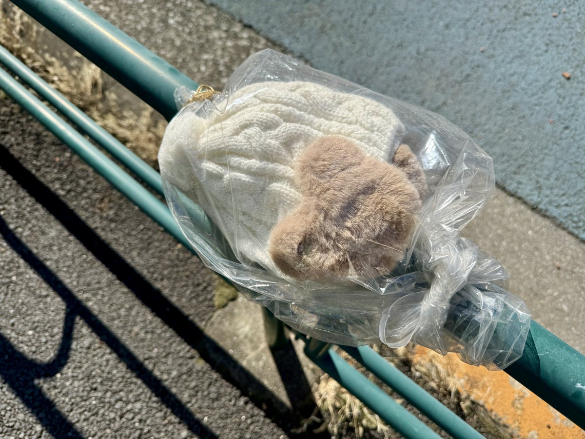 Y otros hasta se toman la molestia de envolverlos en un plástico por si llueve. Increíble!