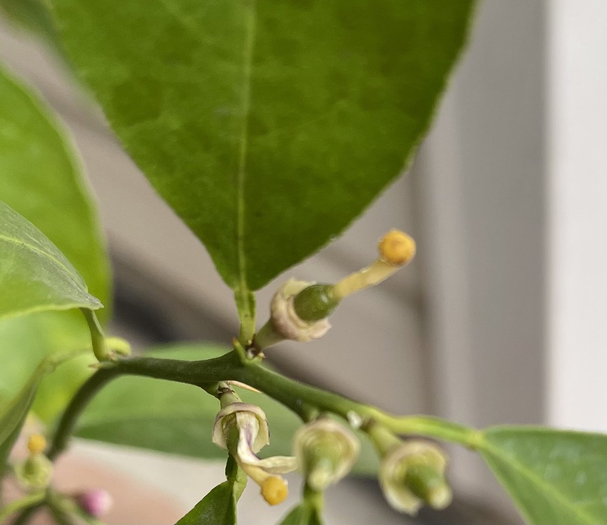 Red Shoes Moment tweet media