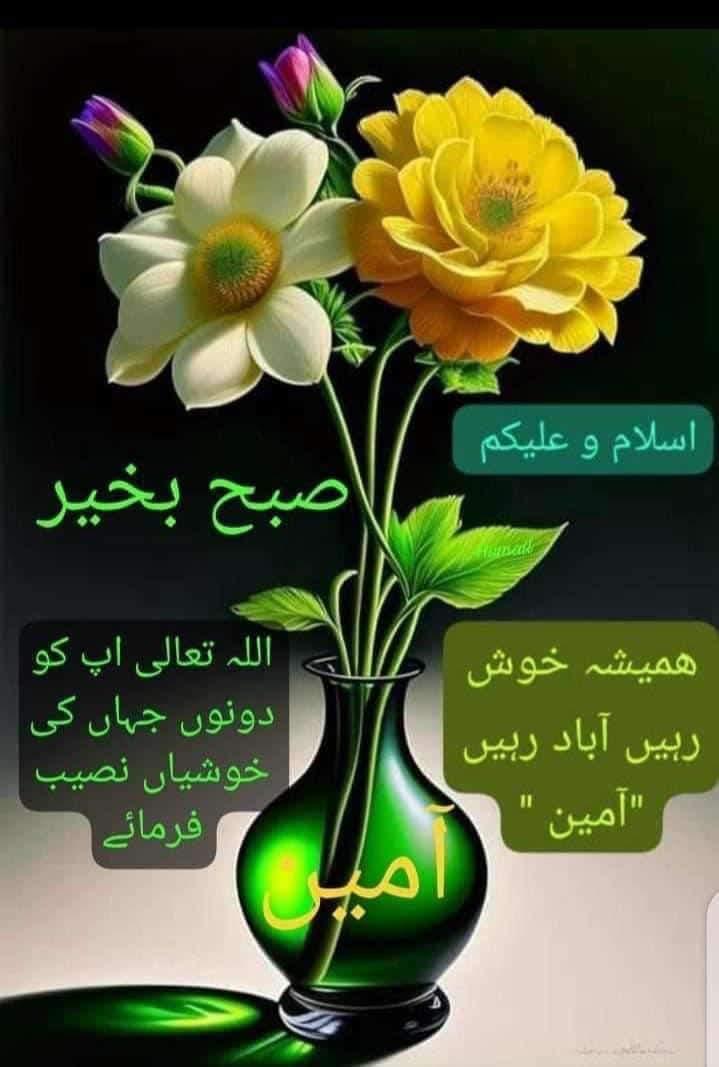Mian Rizwan tweet media
