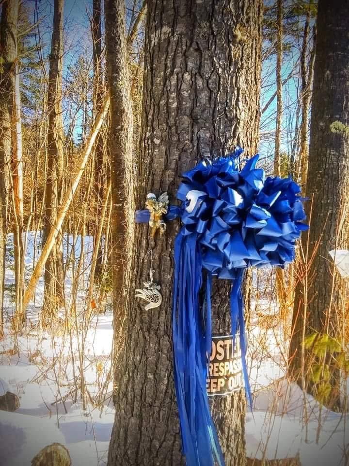 21 years this Feb Maura Murray disappeared in NH this  has always bothered me. My husband went to school with her Brother in Hanson. We moved to NH and visit the site of said accident in her memory once a year to say a prayer. 🙏  (older  pic )💕

<a href="/JulieMurray2_9/">Julie Murray</a>