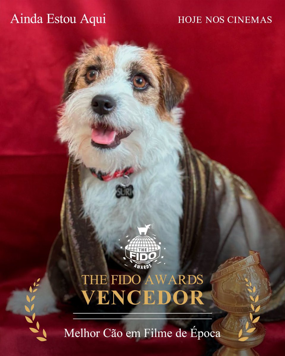 🐶🏆 Totalmente premiado! Novo pôster de ‘Ainda Estou Aqui’ destacando a vitória de Pimpão como Melhor Cão no Fido Awards, o Oscar dos cachorros.