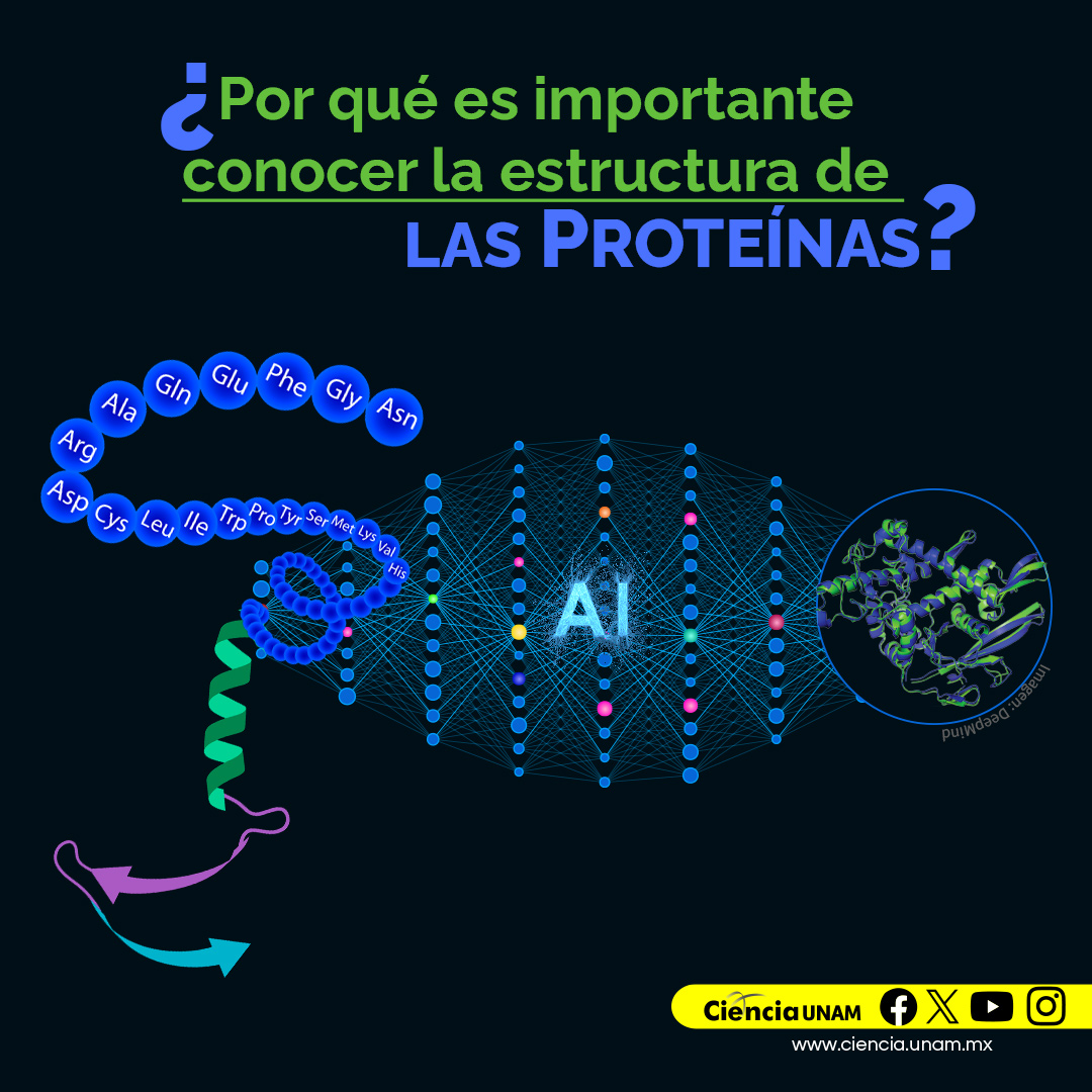 Ciencia UNAM tweet media