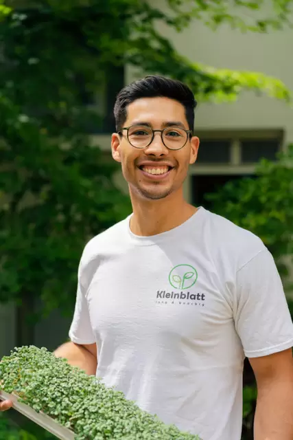 santiagasu's tweet photo. 🔝🇵🇾Kleinblatt: la startup con toque guaraní que llega con sus cultivos a cocinas Michelin en Alemania
📍El compatriota Mauricio Ojeda conquistó la gastronomía gourmet de Stuttgart
📍Empresa ofrece 30 variedades diferentes de brotes, entre rabanito, repollo, rúcula, etc.

https://t.co/nQlVDVG8gT