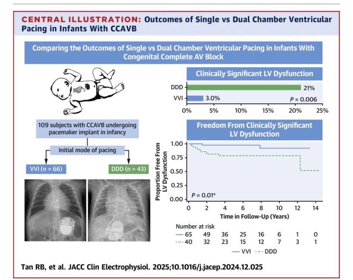 Congratulations to <a href="/reibianca/">Reina Bianca Tan</a> and all the authors on publishing this vital study on pacing mode in infants with congenital heart block in <a href="/JACCJournals/">JACC Journals</a> 

nam10.safelinks.protection.outlook.com/?url=https%3A%…