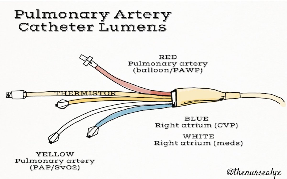 #CardioNugget 59/365

PACs have four lumens: blue, white, yellow, red/balloon, and often a fifth thermistor lumen.

Blue – right atrial lumen (CVP)

White – right atrial infusion lumen (med port)

Yellow – pulmonary artery lumen (PAP/SvO2) – this is inserted through a sheath that