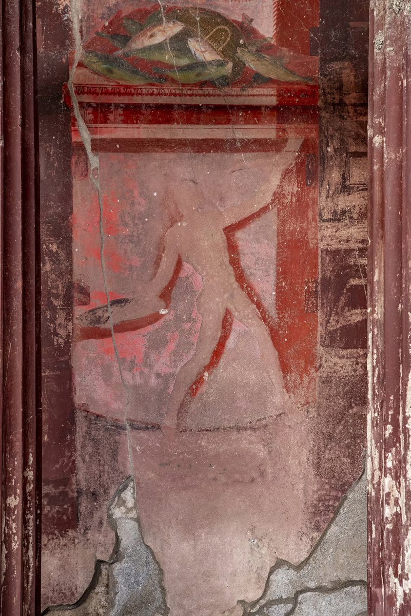 tamphopho's tweet photo. new pompeian second style just droppeddddd ‼️ https://t.co/7jKMFZju4Y