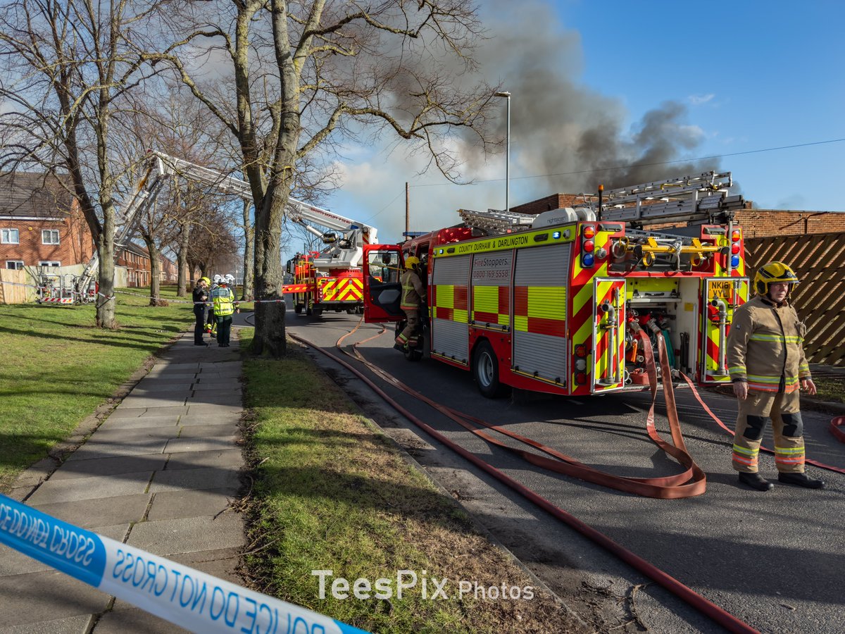 TeesPix.Photos tweet media