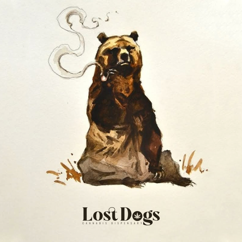 lostdogsoficial's tweet image. Una buena fumada y se te reinicia la vida. #merch #PuertoVallarta #weed 
Whatsapp: 322 104 2746 Envíos a todo México.      
wa.me/3221042746