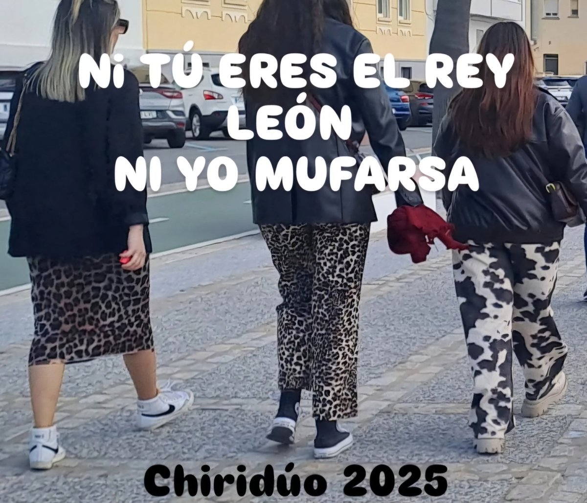 Chiridúo presenta :

"NI TÚ ERES EL REY LEÓN 
                 NI YO MUFARSA"

....y Cádiz ya lo sabe....