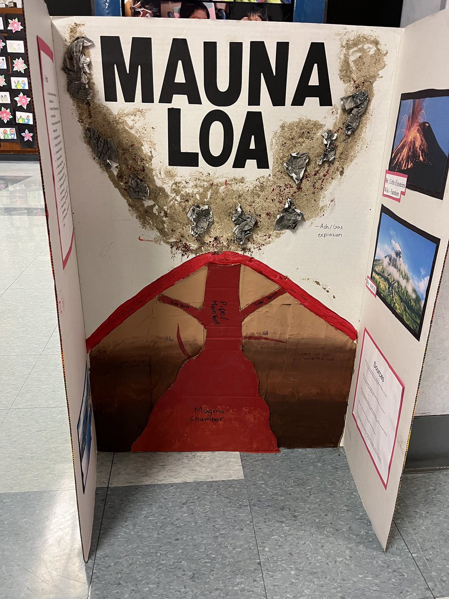 SchooloftheMadeleine tweet media