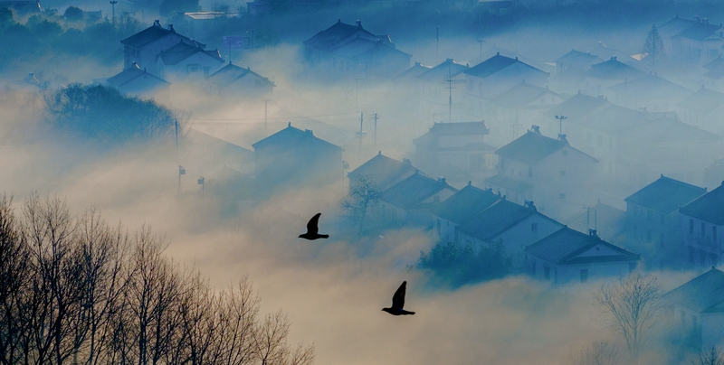 When the coastal gem of Jianggong town in East China's Jiangsu province wakes up in a winter morning 🌅, its meticulously arranged streets and dwellings emerge through a veil of ethereal mist 🌫️, painting a dreamscape reminiscent of classical ink wash artistry.

Nestled along the