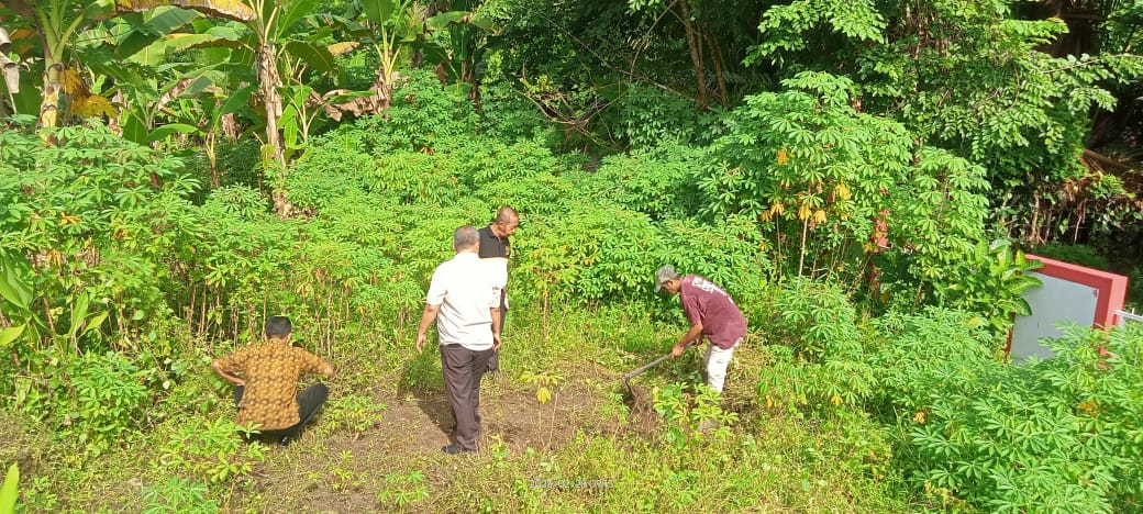 RupbasanAmbon's tweet photo. Ambon - Dalam upaya optimalisasi lahan kosong untuk perkebunan, Rupbasan Ambon melaksanakan perluasan dan pengolahan lahan perkebunan pada lahan kosong sekitar halaman kantor. (28/02/2025). https://t.co/gKHibgdadF
