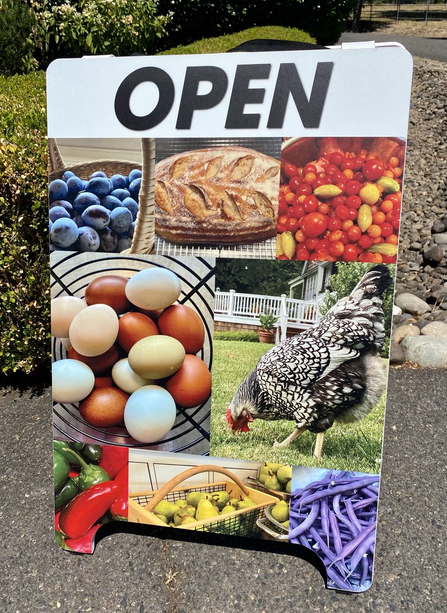 Farm Stand is Open! Our second year, and we sold out 3 dozen eggs today to our neighbor. It’s very rewarding to provide fresh organic food to our community! I seed started Lettuce, Spinach and Artichokes as well. What are you growing? It’s almost Spring! Let’s Grow!!! 🐓🥬🥚