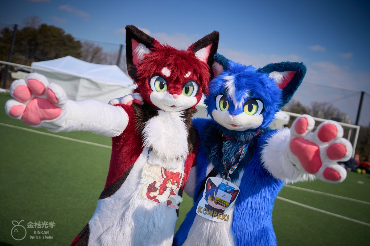 赤と青 in JoA2025

#FursuitFriday  #FurryJoA2025