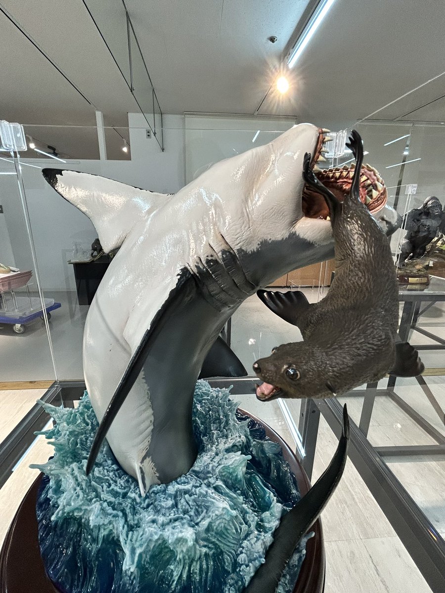限定品！　海洋堂　ホホジロザメ　NATURE TALES Nature Tales ホホジロザメ｜NATURE TALES｜海洋堂