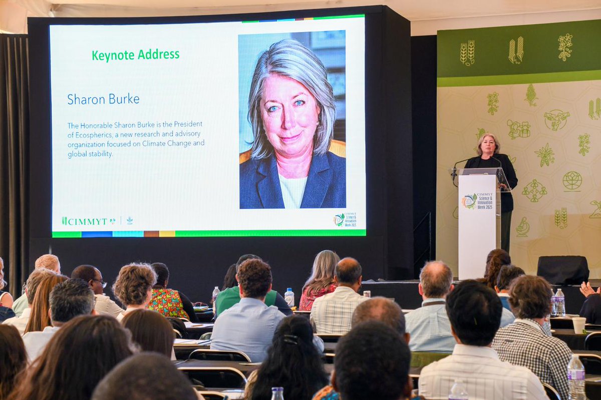 🔬 Advancing Science for Global Food Security
#CIMMYT is driving impact with 10M+ data points, 70K+ on-farm trials, and breakthroughs in BNI technology, precision farming, and digital fertilizer mapping—scaling research through strategic partnerships and innovation. #SIW2025