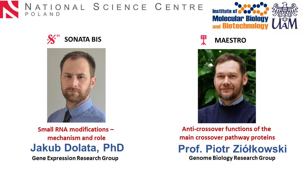 IMBB AMU Poznań (@uam_ibmib) on Twitter photo Two <a href="/NCN_PL/">Narodowe Centrum Nauki</a> grants from recent call goes to <a href="/UAM_IBMiB/">IMBB AMU Poznań</a>: Piotr Ziółkowski <a href="/Piotraz1/">Piotr Ziolkowski</a> received Maestro to study corss-over & Jakub Dolata <a href="/JakubDolata86/">Jakub Dolata</a> was awarded Sonata Bis to investigate Small RNA. Big Congratulations to both!!! #NCNtoTlen #crossover #snRNA <a href="/UAM_Poznan/">UAM Poznań</a> Two <a href="/NCN_PL/">Narodowe Centrum Nauki</a> grants from recent call goes to <a href="/UAM_IBMiB/">IMBB AMU Poznań</a>: Piotr Ziółkowski <a href="/Piotraz1/">Piotr Ziolkowski</a> received Maestro to study corss-over & Jakub Dolata <a href="/JakubDolata86/">Jakub Dolata</a> was awarded Sonata Bis to investigate Small RNA. Big Congratulations to both!!! #NCNtoTlen #crossover #snRNA <a href="/UAM_Poznan/">UAM Poznań</a>