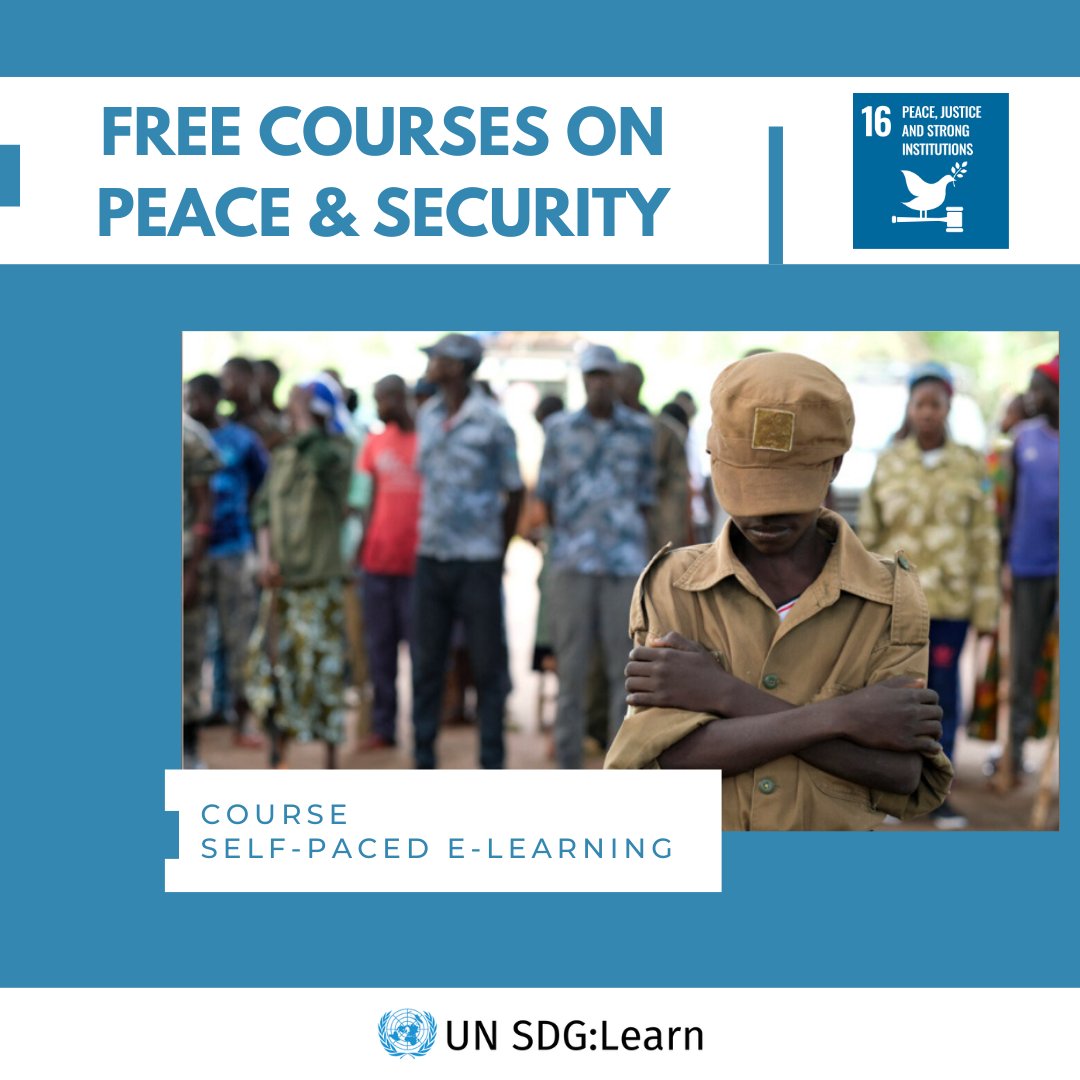 UNSDGLearn's tweet photo. 🌱 FREE course on Peace &amp; Security 🌱 

#PartnerFeatured #sustainability #SDGs #learning #sustainabledevelopment #freecourses #SDG16 https://t.co/1yKwqH9wzy