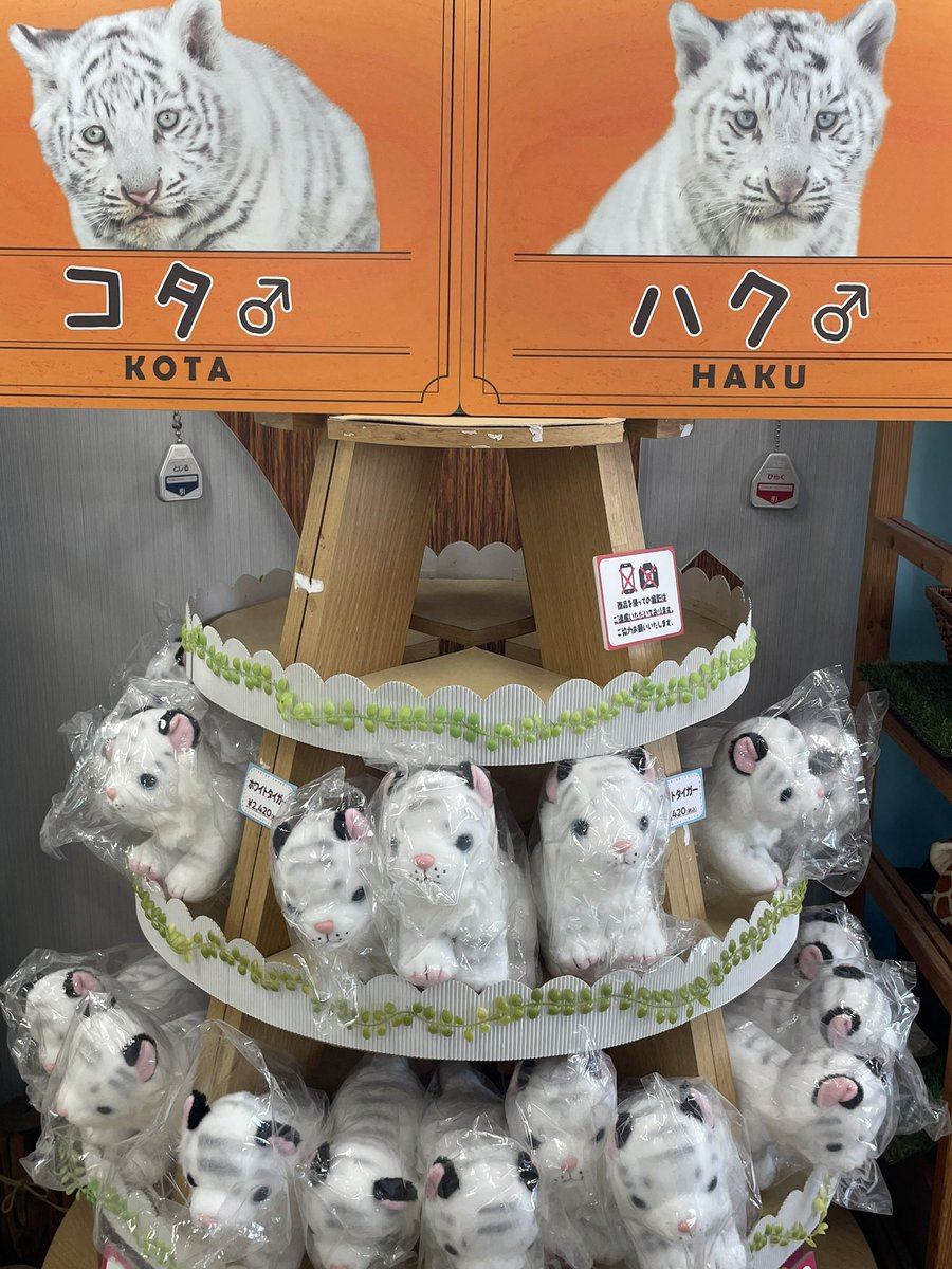 柴犬カール on X: 