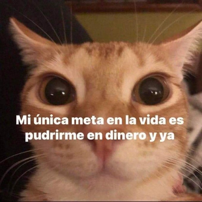 En Júpiter (@en_jupiter_) on Twitter photo 