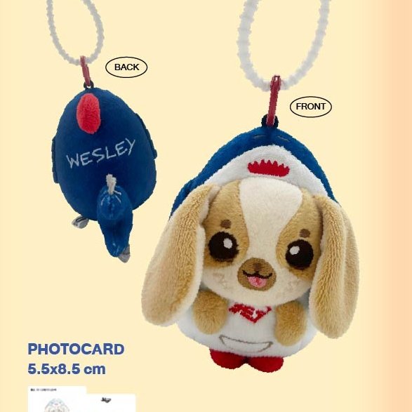 その他 WESLEY DOLL KEYCHAIN その他 WilliamEst WESLEY DOLL KEYCHAIN UNBOXING WESLEY Doll