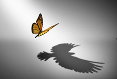 jmjoannes's tweet photo. #Commandepublique #Achatdurable
Achat public socialement responsable : les outils et l’envie
Autant la simplification de l’achat public ne pourra se faire sans les acheteurs, autant l’achat public socialement responsable ne repose que sur leur engagement
https://t.co/FoM0GmCoY0 https://t.co/TrRlCvRBT8