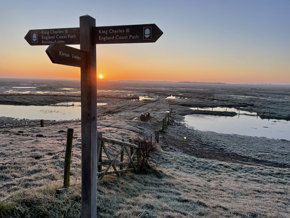 Julian Bob Willis tweet media