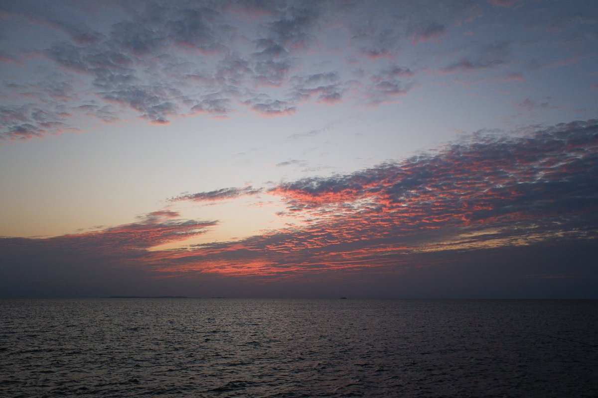 itsmetasuku's tweet photo. 心地いい風の中、美しい空の下で読書をして、お家に帰って温かいマサラチャイとお団子を堪能しました。お皿がないので、お茶碗にお団子を並べました。しあわせなひと時でした...♡ https://t.co/ieIGUpZ5Cx
