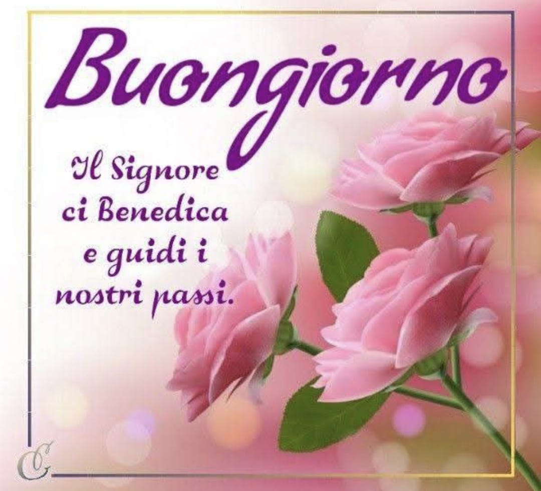 Marianna tweet media