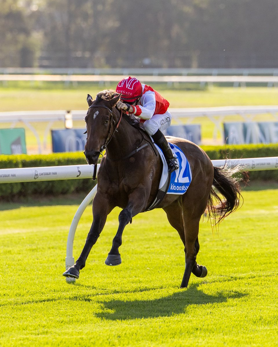 STRADA VARENNA has always shown talent to burn, and she didn’t waste any today, winning on debut despite a tricky draw.

Nicely judged from Jason Collett; sharp buy by <a href="/NewgateFarm/">Newgate</a> &amp; <a href="/ladbrokescomau/">Ladbrokes Australia</a> Racing Club. Quality shines through ✨ 

Congratulations to all involved 👏