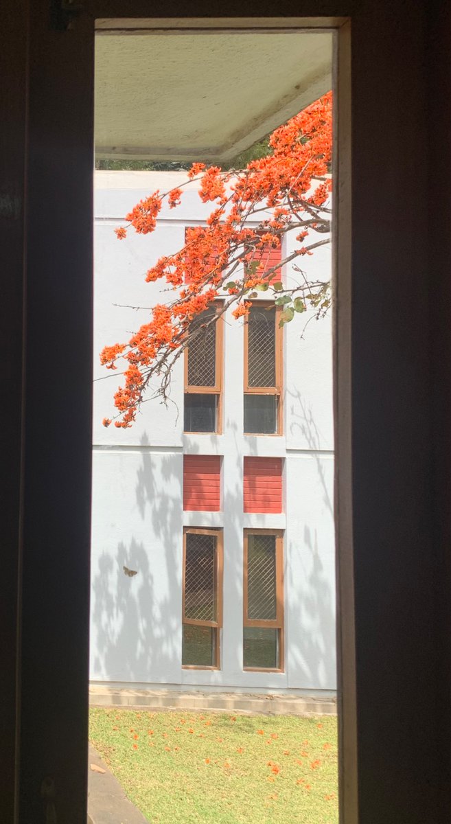KRPrasadIISc's tweet image. our campus @iiscbangalore